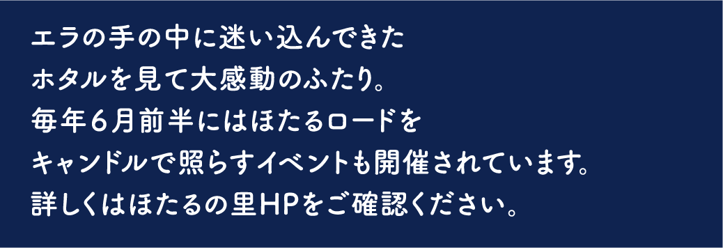 仁上のほたる