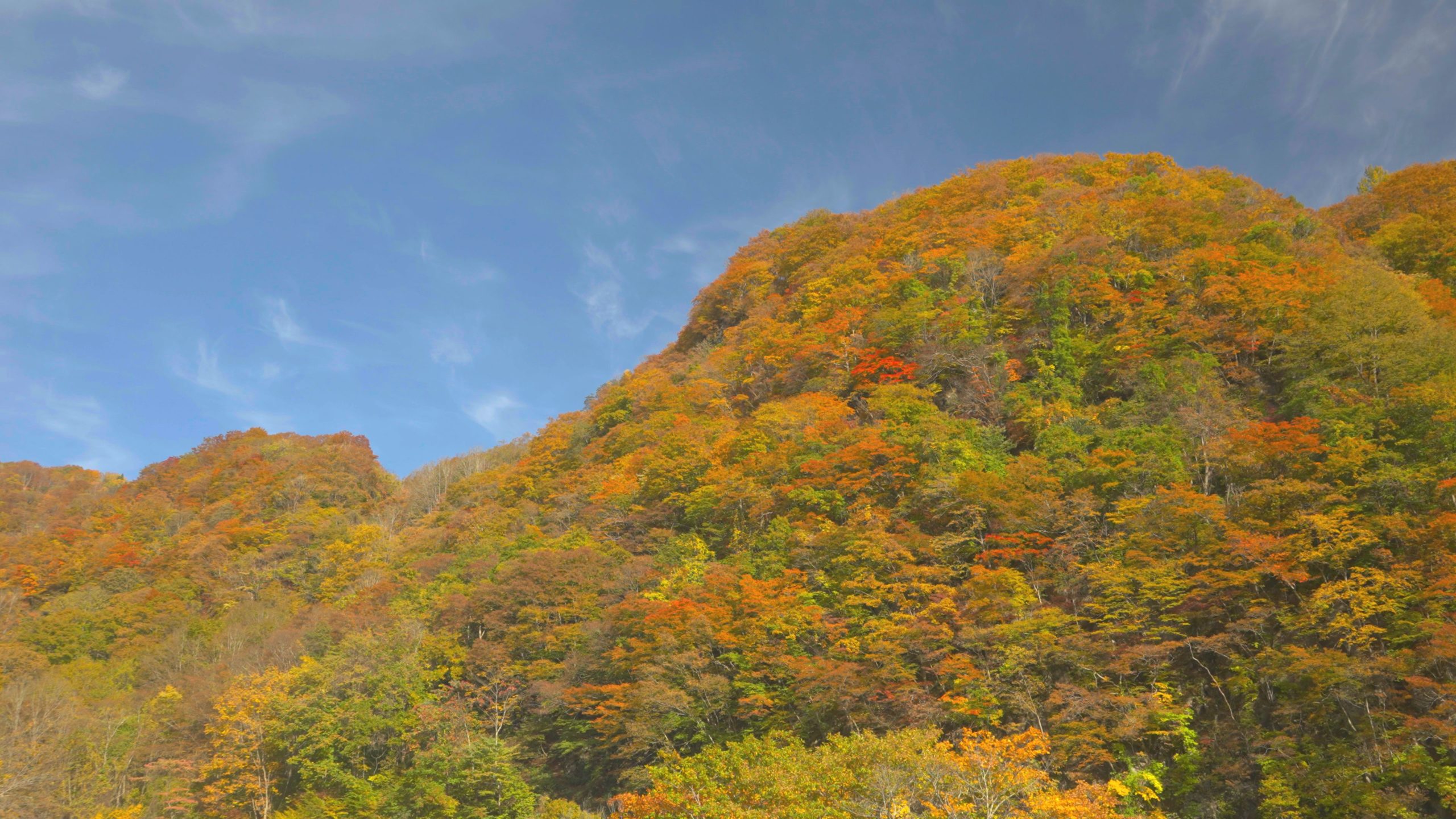 紅葉情報 27日 火 撮影 苗名滝が見ごろです 妙高市 雪国ジャーニー