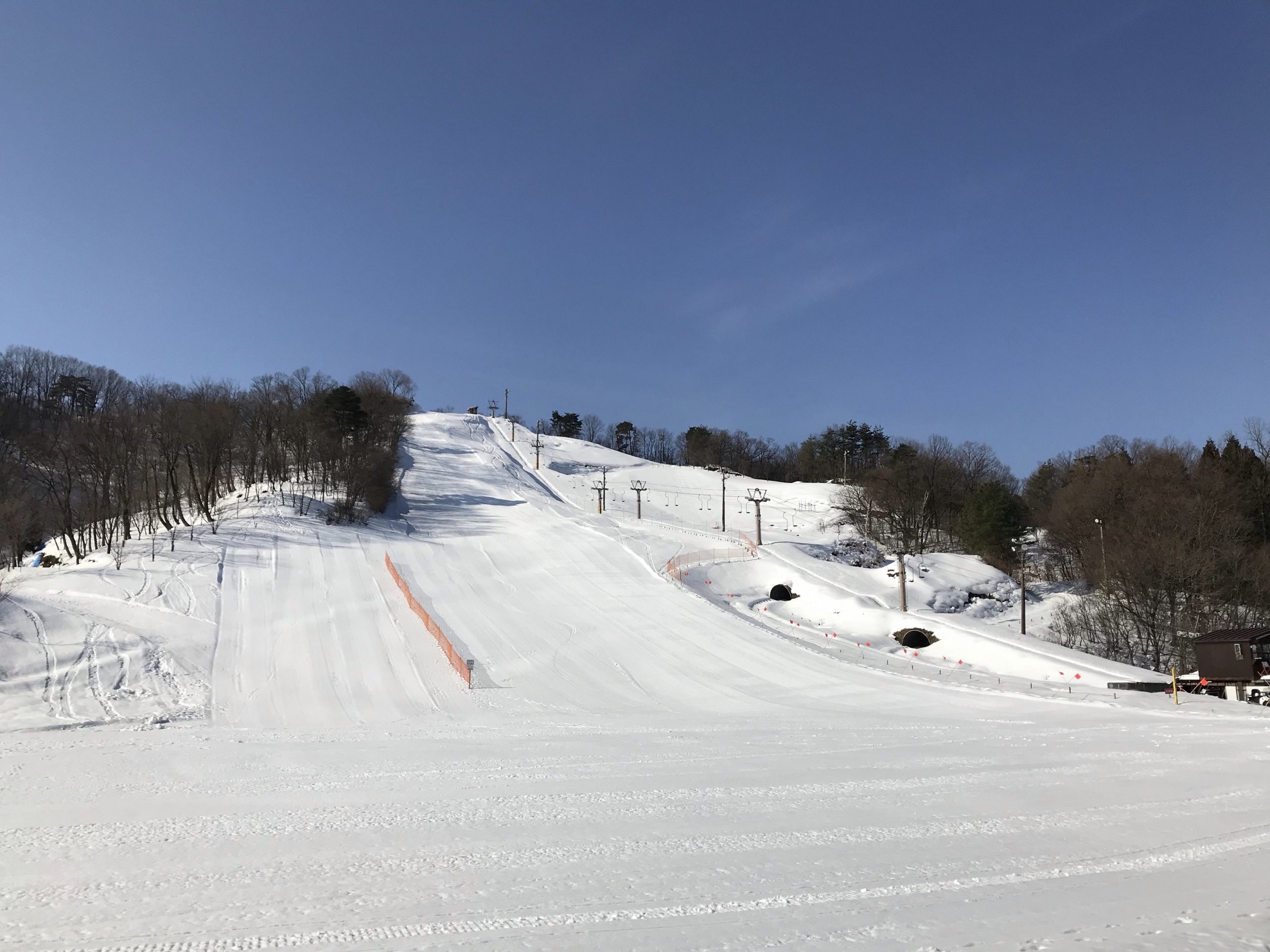 31日 日 オープン ゲレンデガイド 21 Vol 7 金谷山スキー場 新潟県上越市 雪国ジャーニー