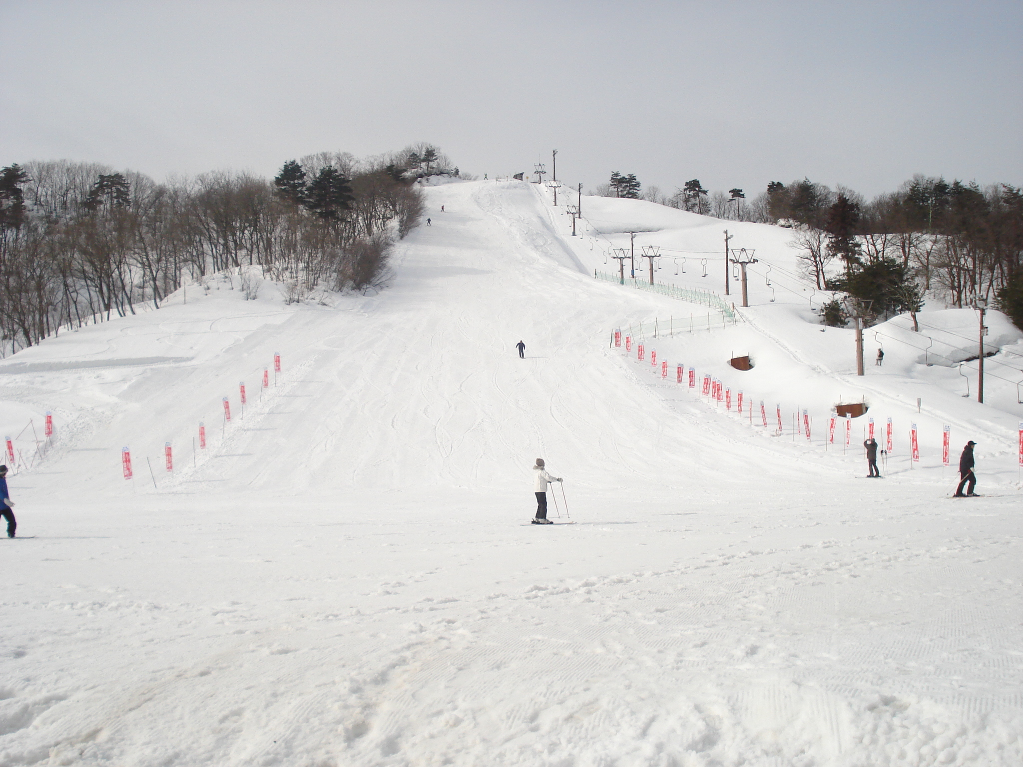 31日 日 オープン ゲレンデガイド 21 Vol 7 金谷山スキー場 新潟県上越市 雪国ジャーニー