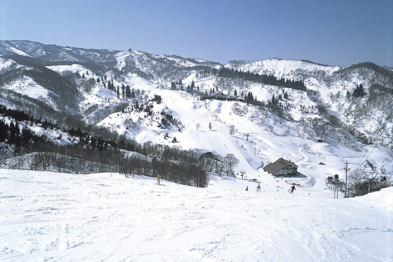 ＜Ski Resort Guide 2024-2025＞ Joetsu International Ski Resort ...